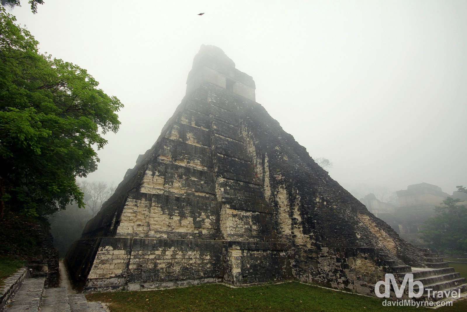 Pre sunrise mist covers the top of Temple 1, Temple of the Grand Jaguar, in the The Gran Plaza, Tikal Mayan ruins, Tikal National Park, northern Guatemala. May 17th 2013.