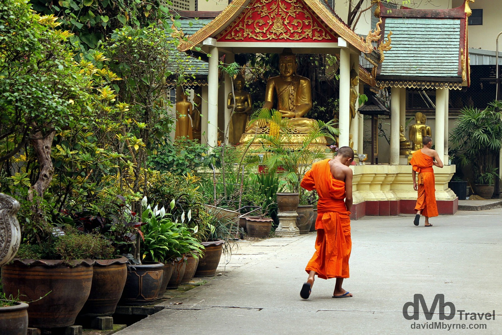 Young Buddhist Monks in the grounds of Wat Phra Kaew, aka Bamboo Forest Monastery, Chiang Rai, northern Thailand. March 10th 2012.  