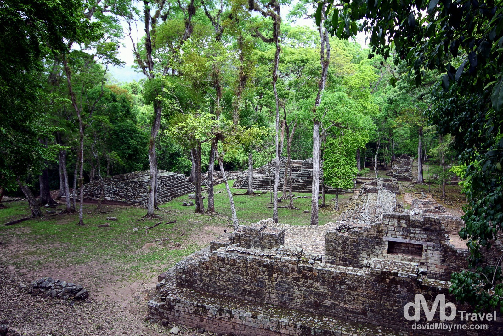 The Cemetery section of the Copan Architectural Site, western Honduras. June 7th 2013.