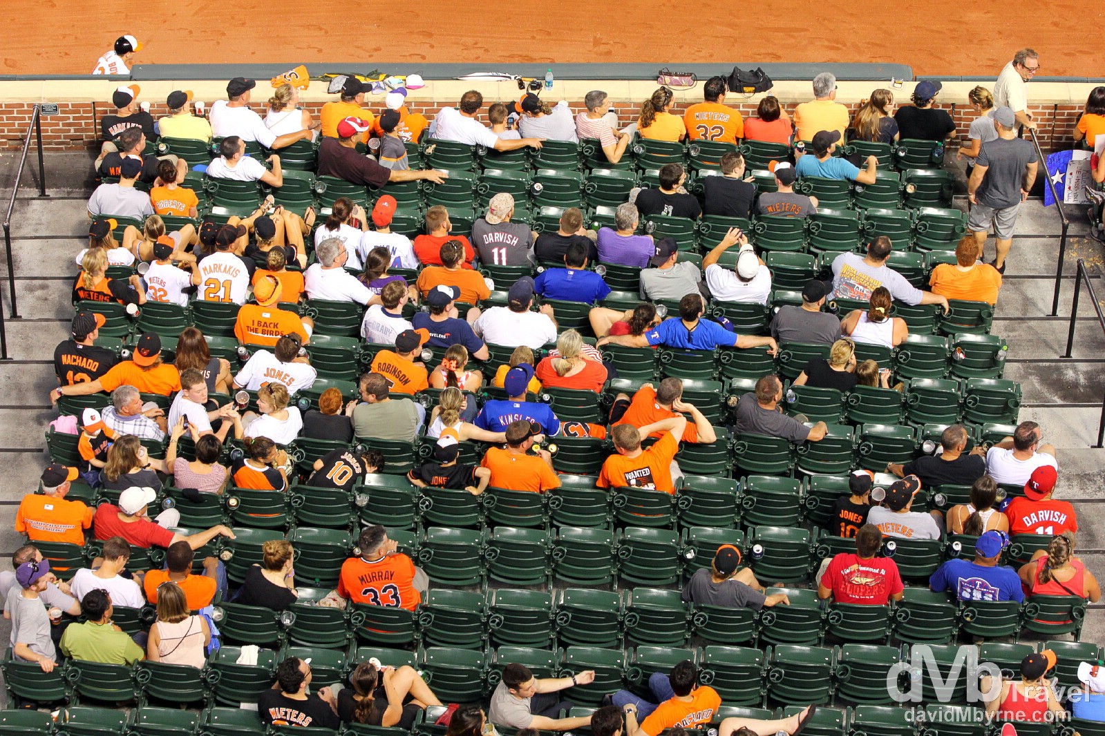 Oriole fans at Oriole Park at Camden Yards, Baltimore, Maryland, USA. July 10th 2013.