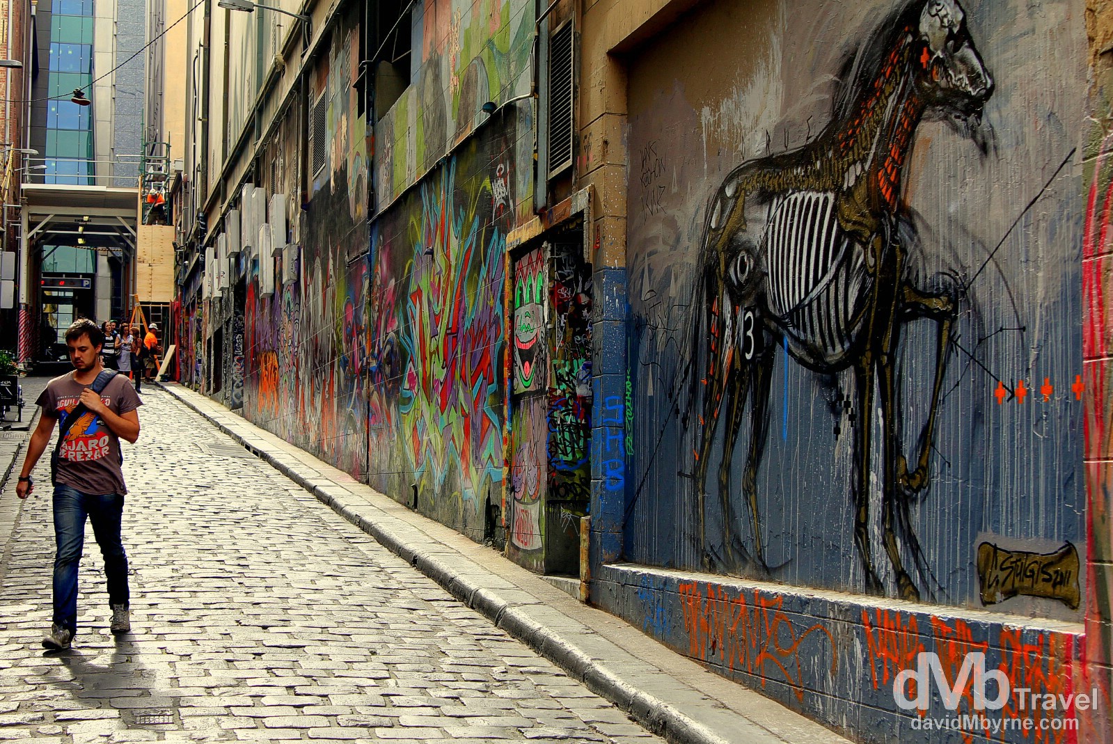 Graffiti, Hosier Lane, Melbourne, Victoria, Australia. April 19th 2012.