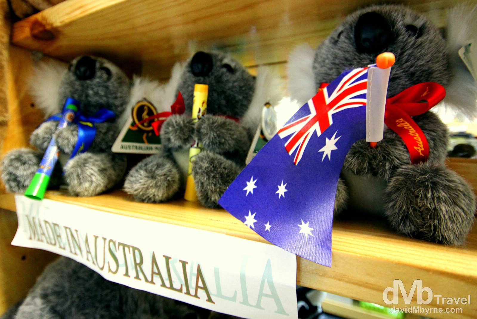 The Sunshine Coast isn’t just about beaches & scenery. It has some nice mountain retreats, one of which is Montville, a fashionable village full of air & graces, Devonshire tea rooms & cottage crafts. It was in a tourist shop that I saw these stuffed, Made-In-China Koala bears which I thought were cute… & very Australian. There's gotta be some real koalas aroudn here somewhere. Travellers Treasures, Montville, Queensland, Australia. April 4th 2012. 