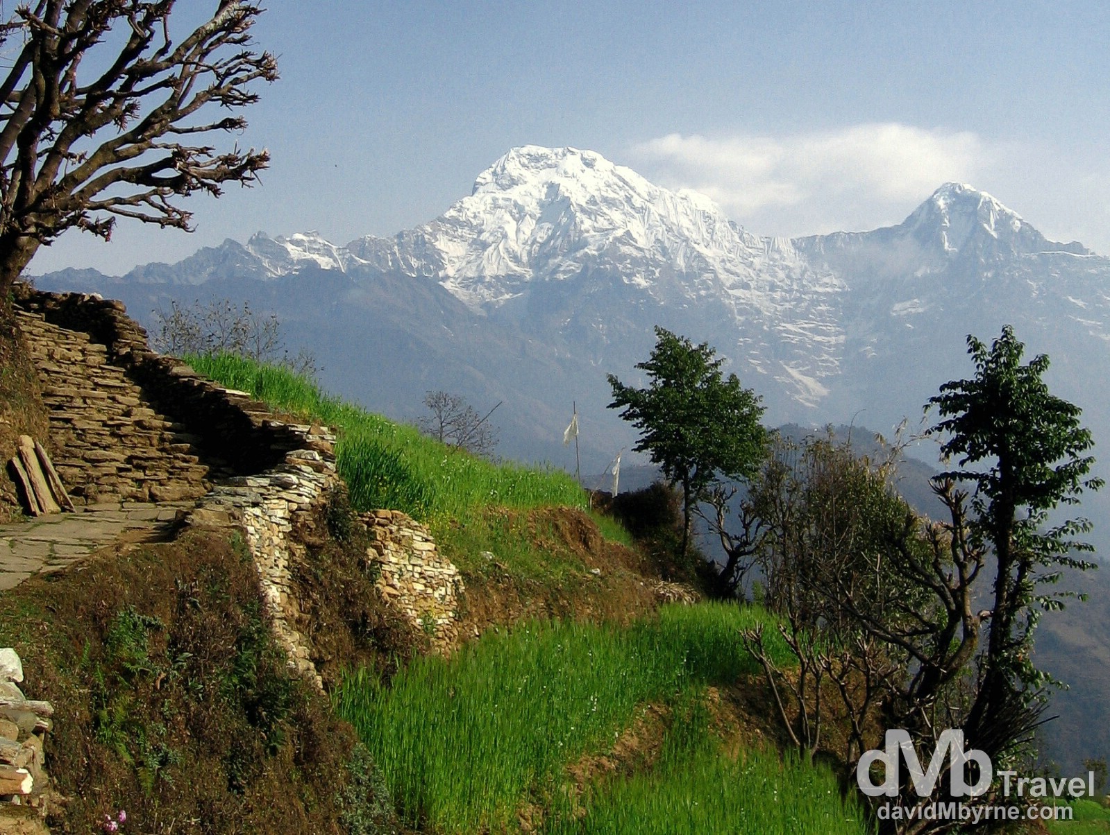 The peak of Annapurna South (24,000ft, 7219m) from the village of Ghandruk in the Annapurna Conservation Area, Nepal. March 11th 2008.