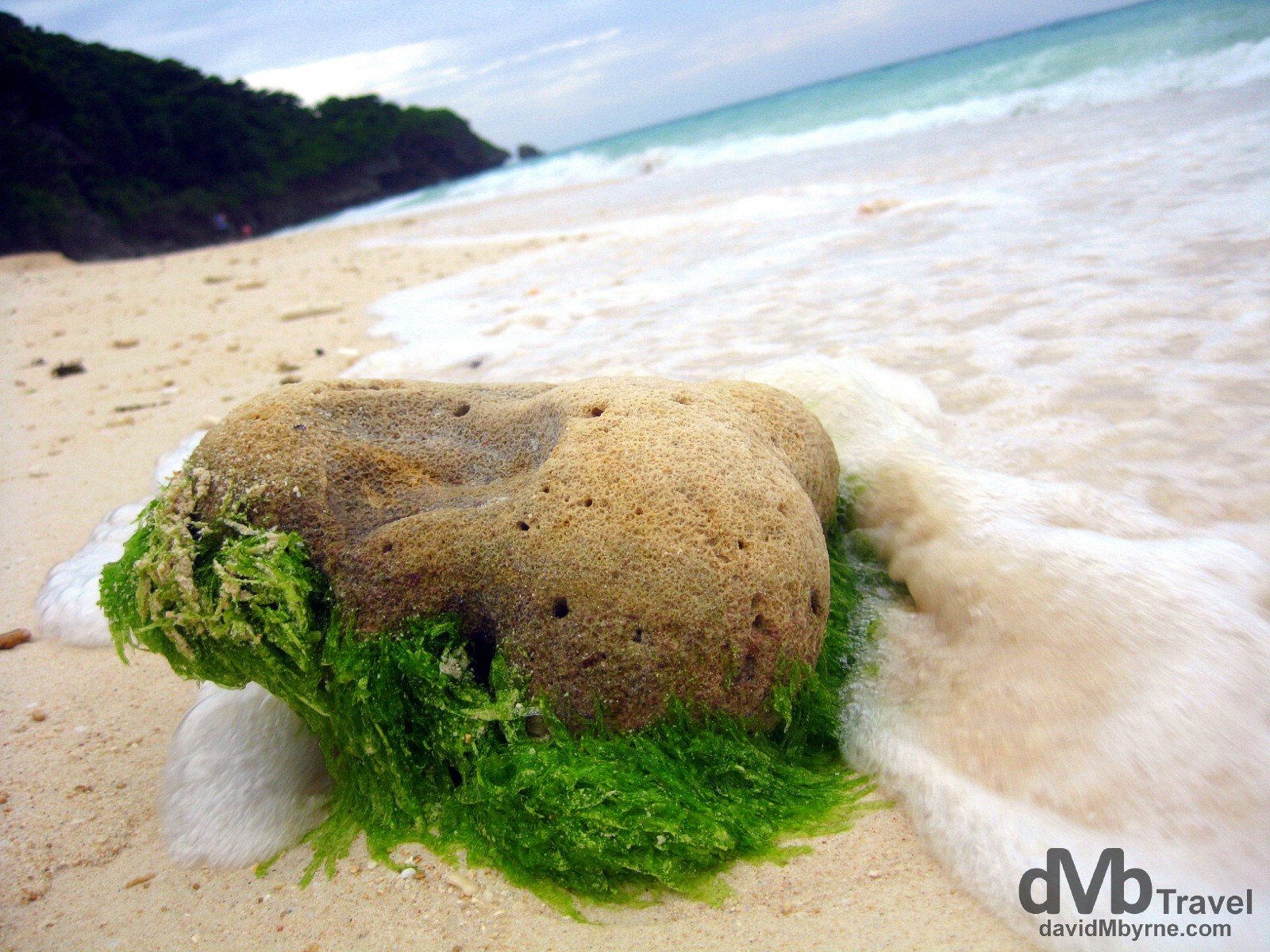 A moss covered stone on the shores of Puka beach, Boracay Island, the Philippines. September 24th 2011.