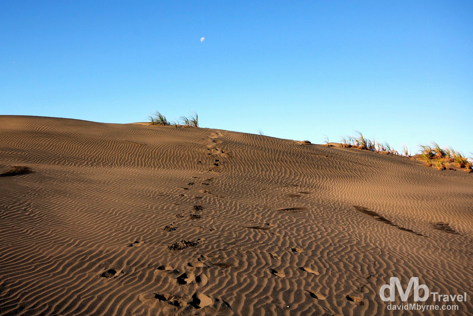 Footsteps in the mammoth sand dunes of Port Waikato, North Island, New Zealand. May 2nd 2012.