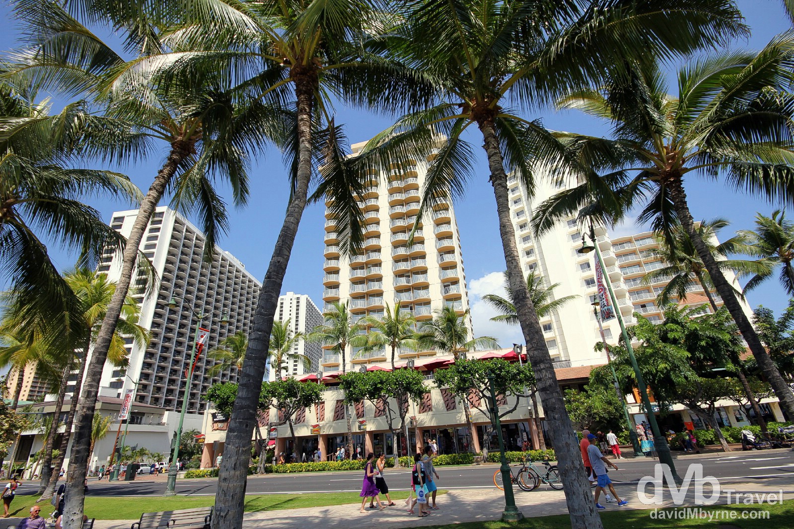 Palm trees & tower blocks on Kalakaua Avenue fronting Waikiki Beach on Oahu, Hawaii, USA. March 8th 2013.