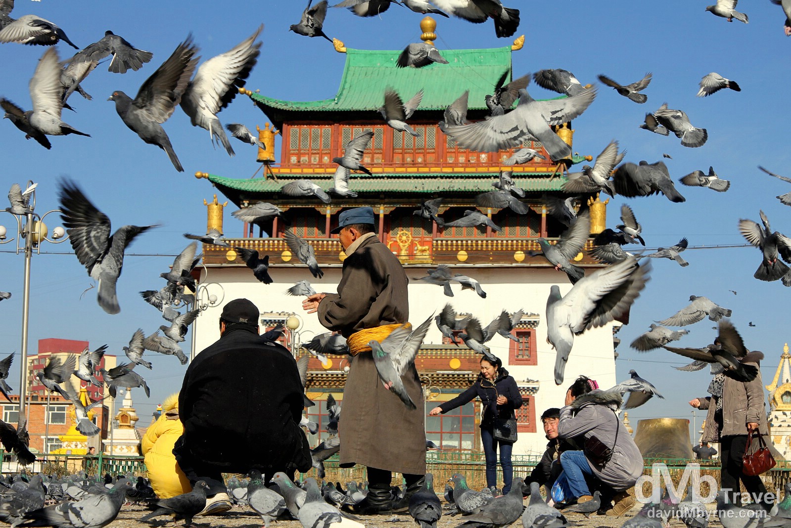 Pigeons (lots of them) & people in front of Migjid Janraisig Sum in Ulan Bator, Mongolia. November 1st 2012.