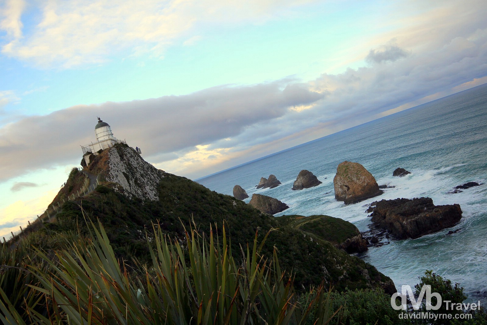  Nugget Point, The Catlins, South Island, New Zealand. May 28th 2012.