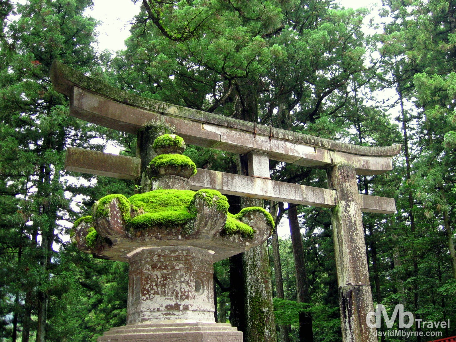 The torii gate at the entrance to the Toshogu Shinto shrine in Nikko, Honshu, Japan. July 17th 2005.