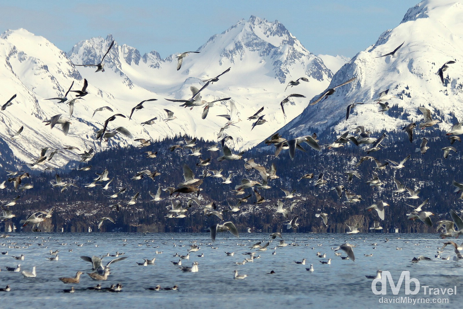 Activity at the end of the Spit in Homer, Kenai Peninsula, Alaska, USA. March 16th 2013.