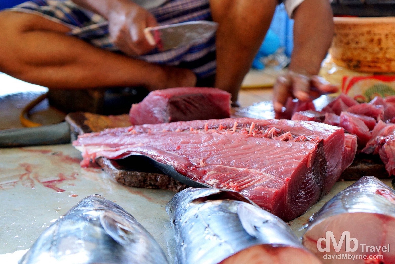 Fish Market, Mutrah, Muscat, Oman. April 26th, 2014.