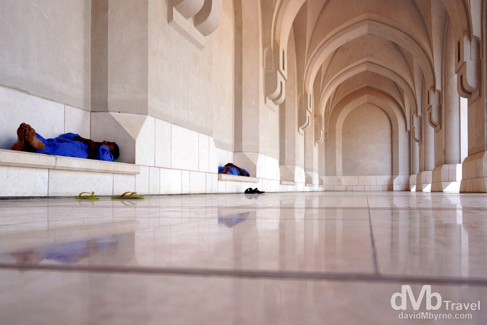 Taking a mid-afternoon nap in the grounds of Al Alam/Sultan’s Palace, Muscat, Oman. April 26th, 2014. 