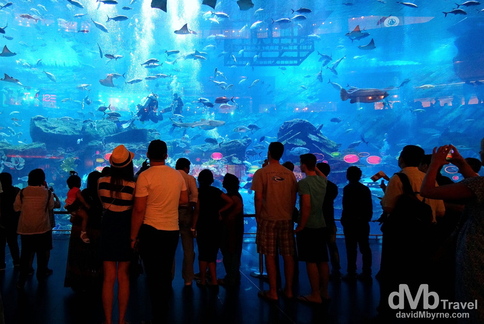 The viewing window of Dubai Aquarium in The Dubai Mall, Dubai, UAE. April 14th, 2014. 