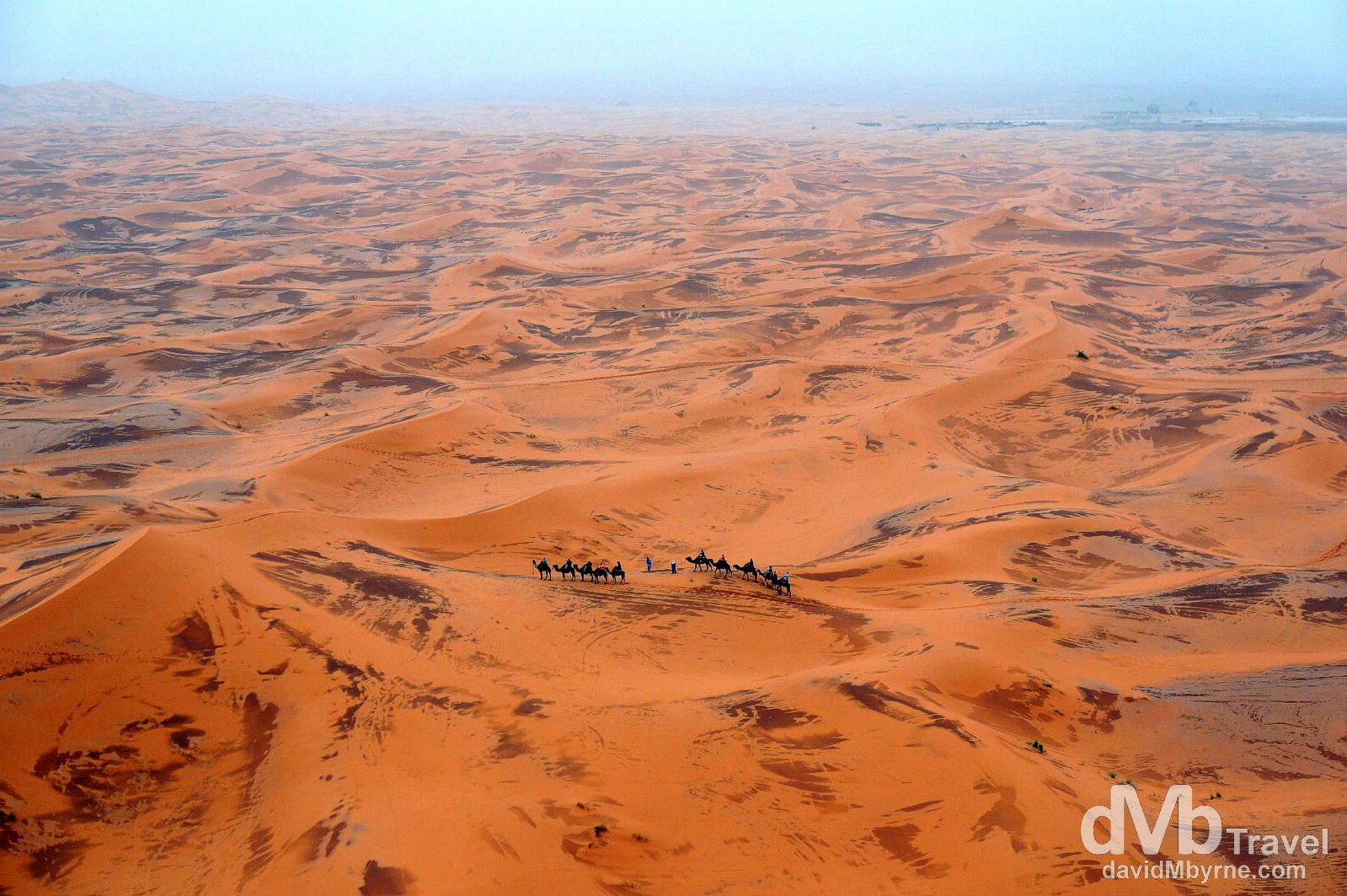 A sunset camel train as seen from on high in the desert of Erg Chebbi, Morocco. May 18th, 2014.