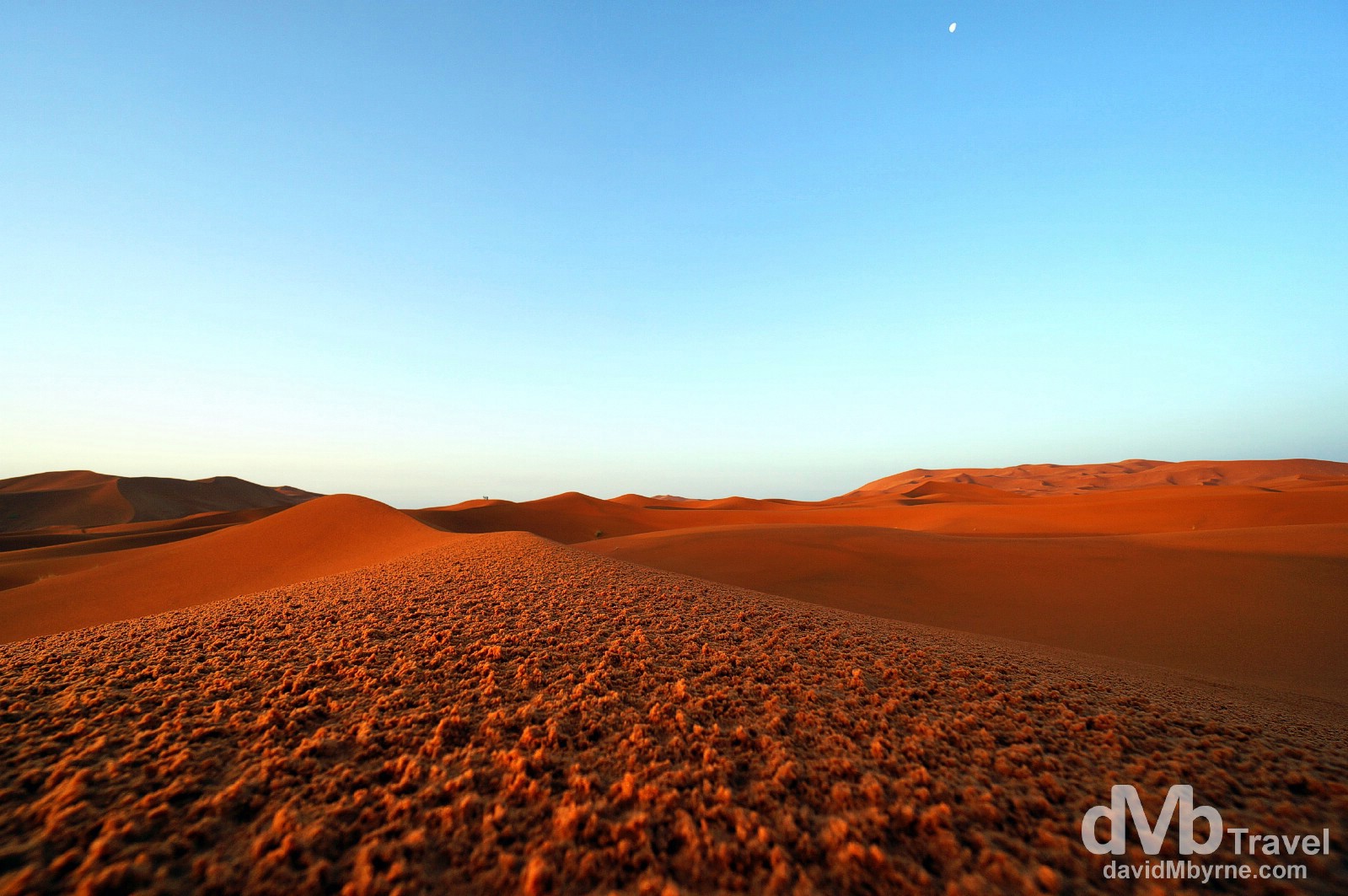 The moon is still in the sky as the sun rises over the red sands of the Erg Chebbi sand dunes in Morocco. May 19th, 2014.