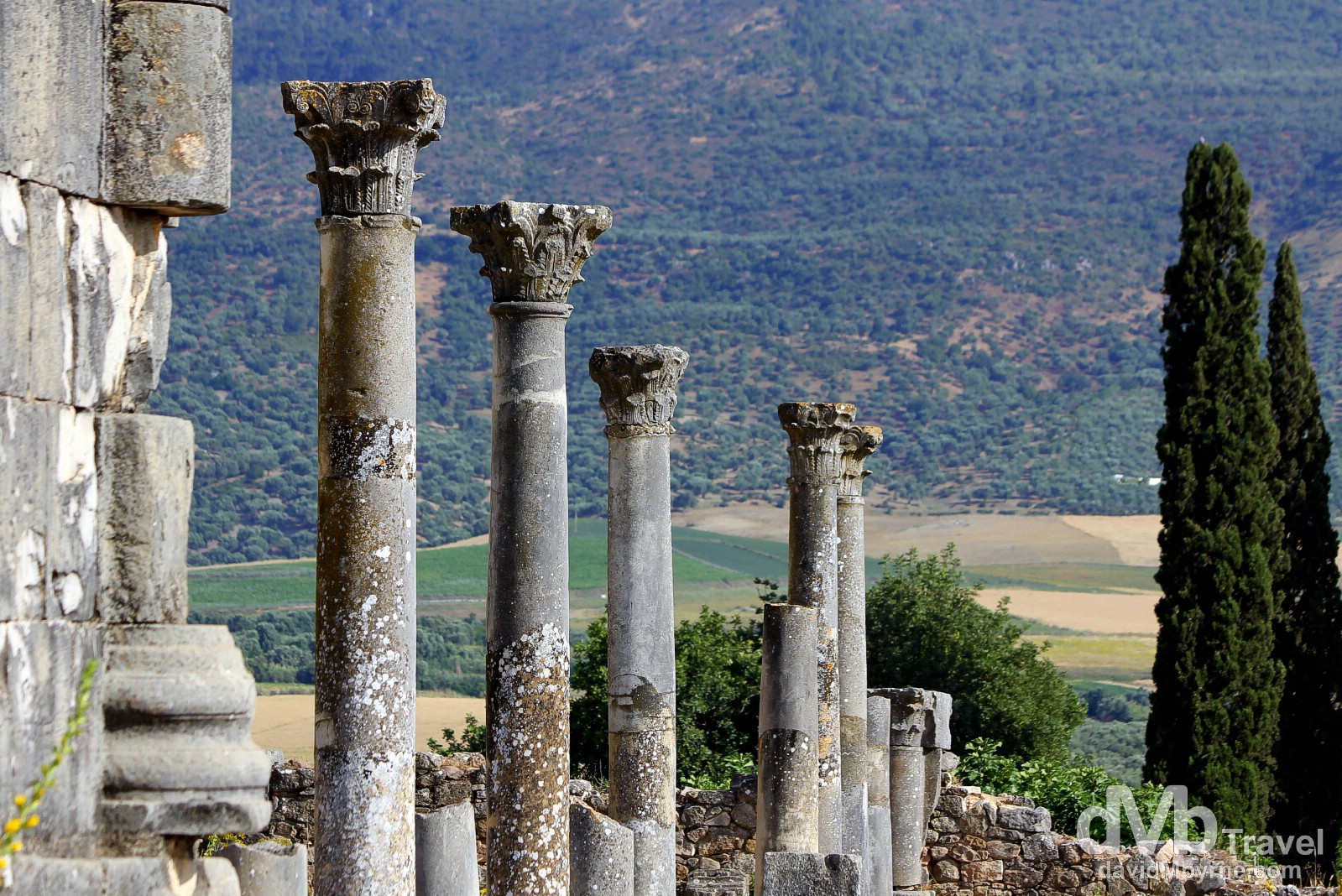 Columns of the UNESCO-listed Roman ruins of Volubilis, Morocco. May 25th, 2014.