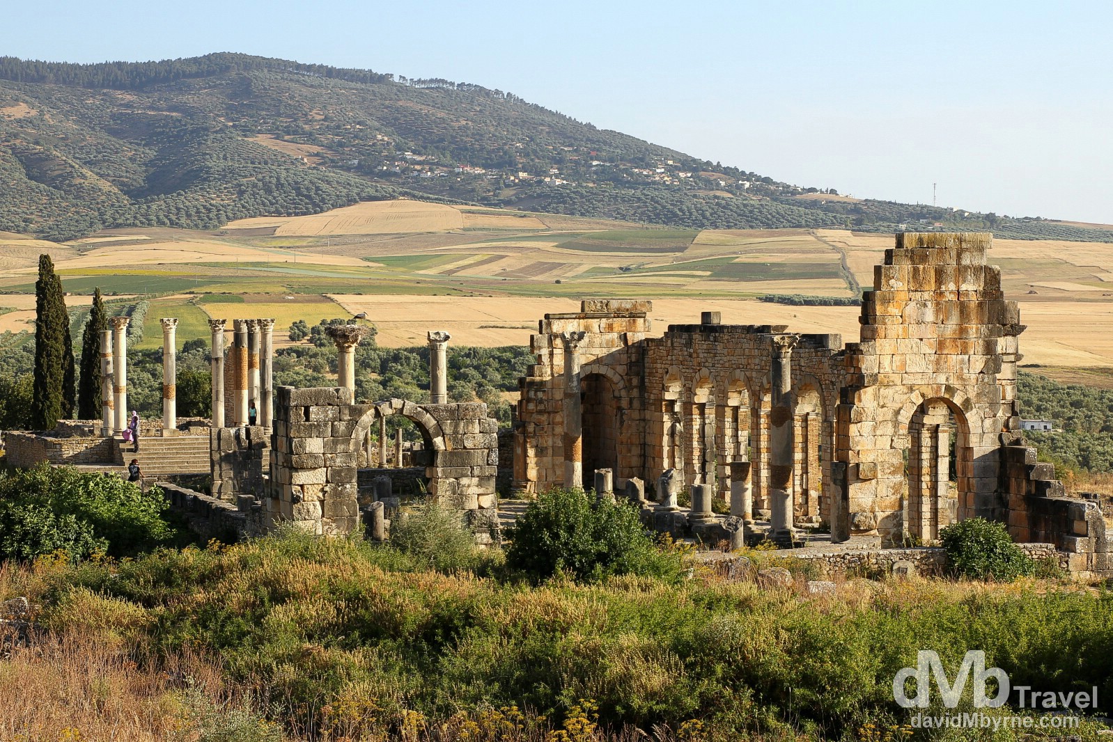 An overview of the Forum, Capital & Basilica of the UNESCO-listed Roman ruins of Volubilis, northern Morocco. May 25th, 2014.