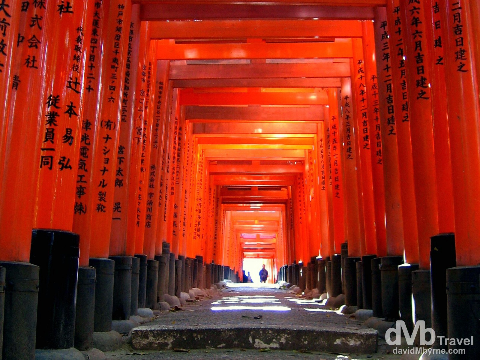 A passageway of Torii gates at the Fushimi Inari Taisha shrine, Kyoto, Japan. November 21st, 2007. 