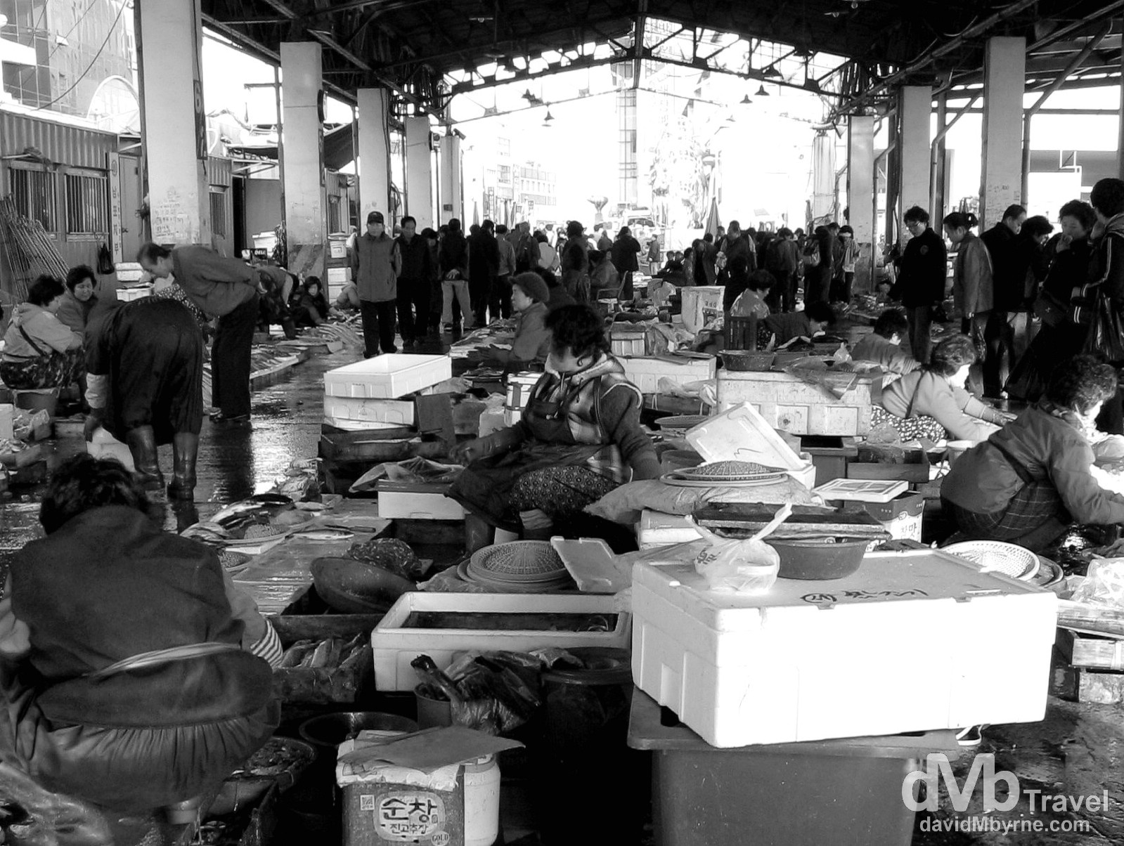 Jagalchi Fish Market, Busan, South Korea. November 23rd, 2007.