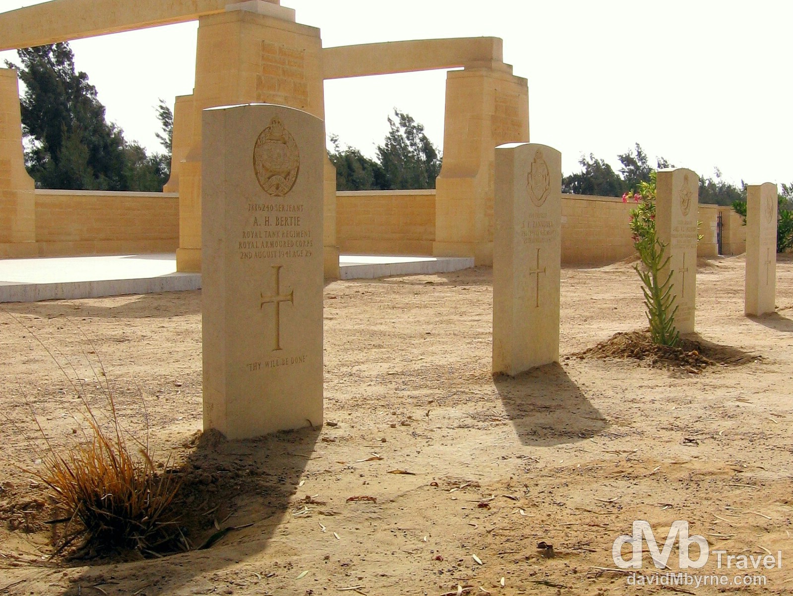 Gravestones in the Commonwealth War Cemetery in El Alamein, Egypt. April 15, 2008.