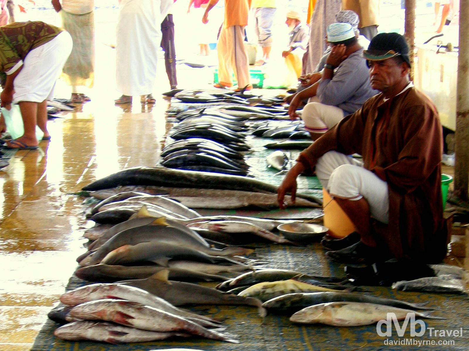 Fish market in Muscat, Oman. April 6, 2008.