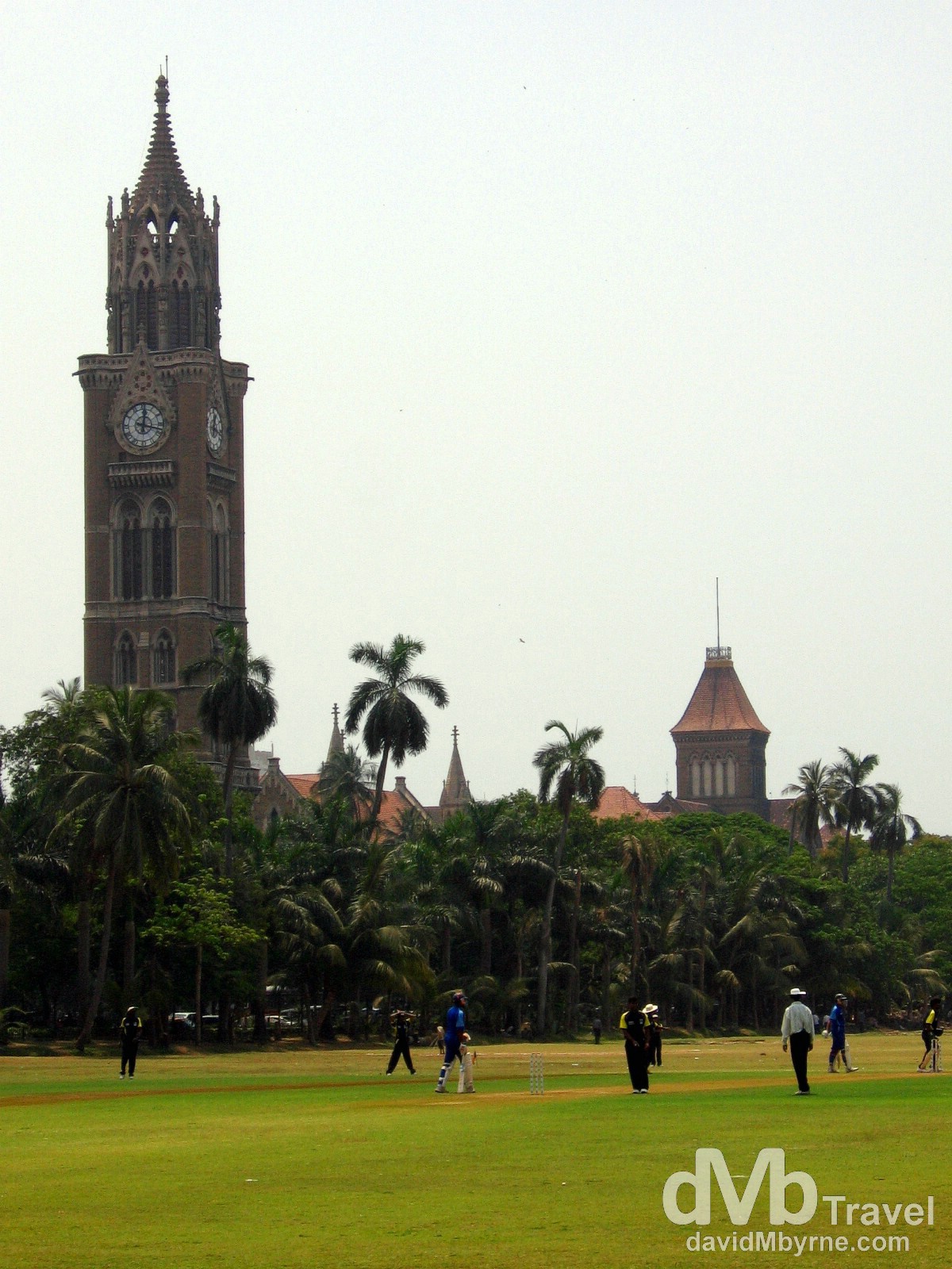 A game of cricket on the Oval Maidan in Mumbai/Bombay, Maharashtra, India. April 4, 2008.