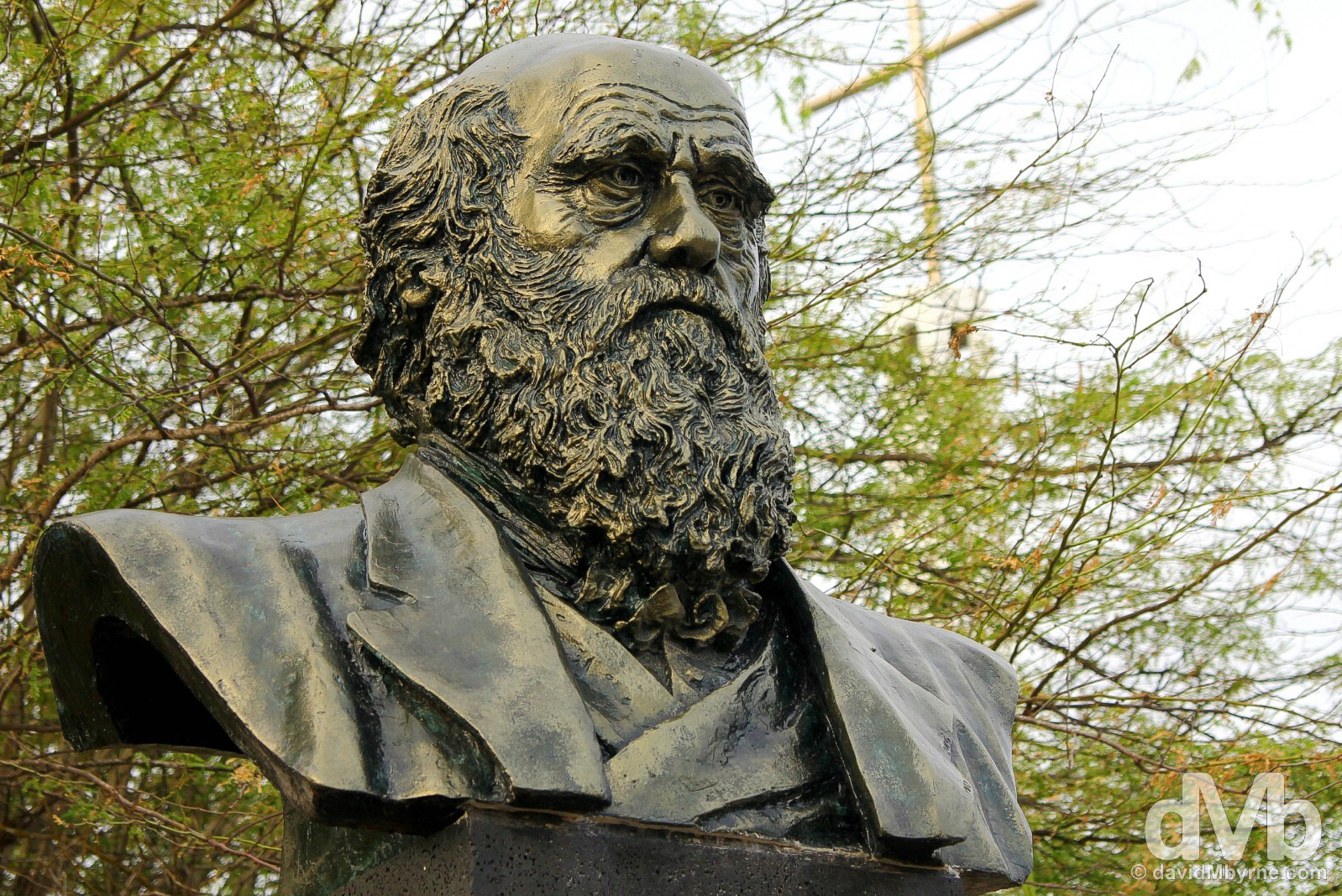 A bust of Charles Darwin on display in the centre of Puerto Villamil on Isla Isabela, Galapagos, Ecuador. July 20, 2015.