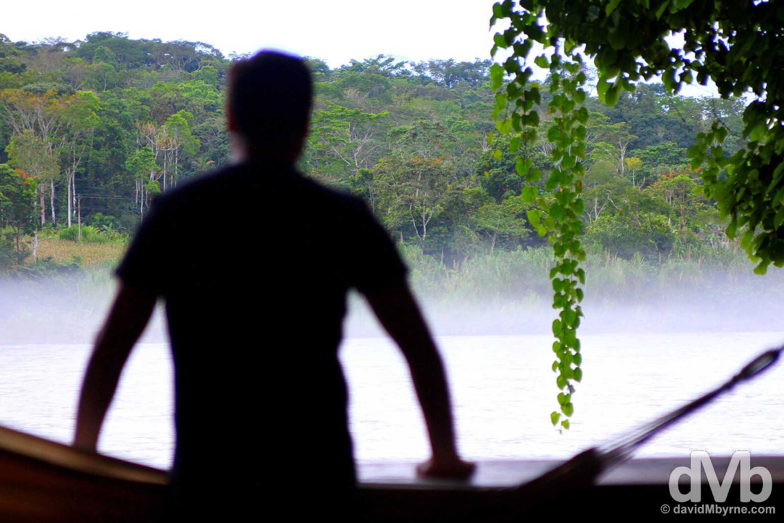 Admiring the rain forest & Napo River view from lodge 13 of the Cotococha Amazon Lodge, Ecuador. July 12, 2015.