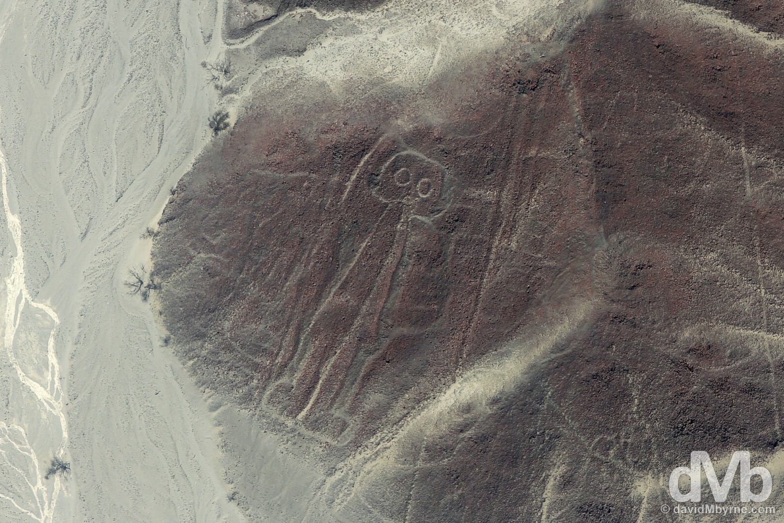 The Astronaut of the Nasca Lines, Nasca Plain, southern Peru. August 11, 2015. 
