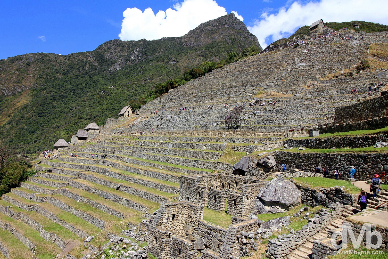 The terraces of the Eastern Agricultural Sector in Machu Picchu, Peru. August 15, 2015. 