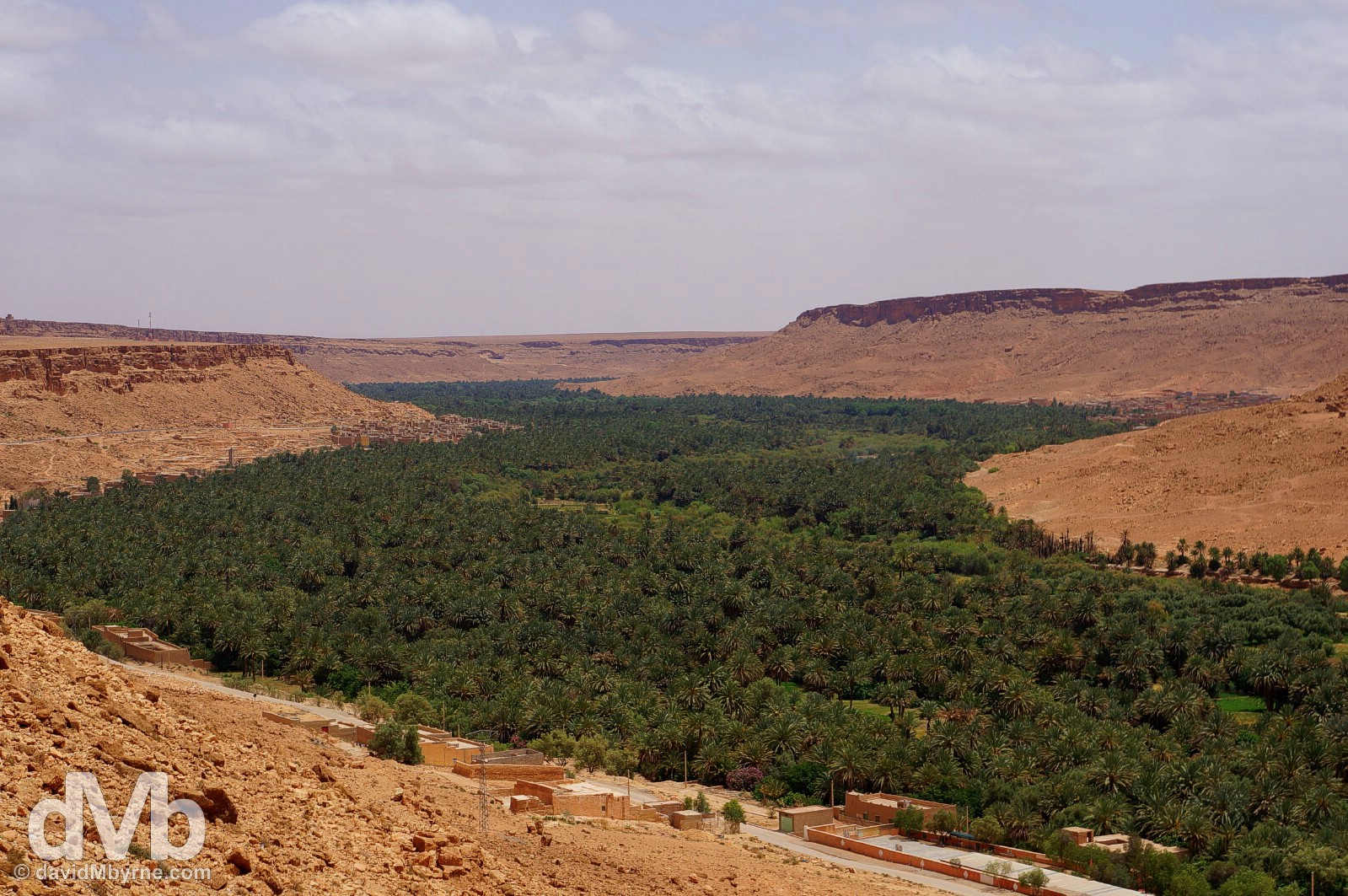 A vast palmarie resting in a lush river valley as seen from the N13 between Er Rachidia and Merzouga, southeastern Morocco. May 18, 2014.
