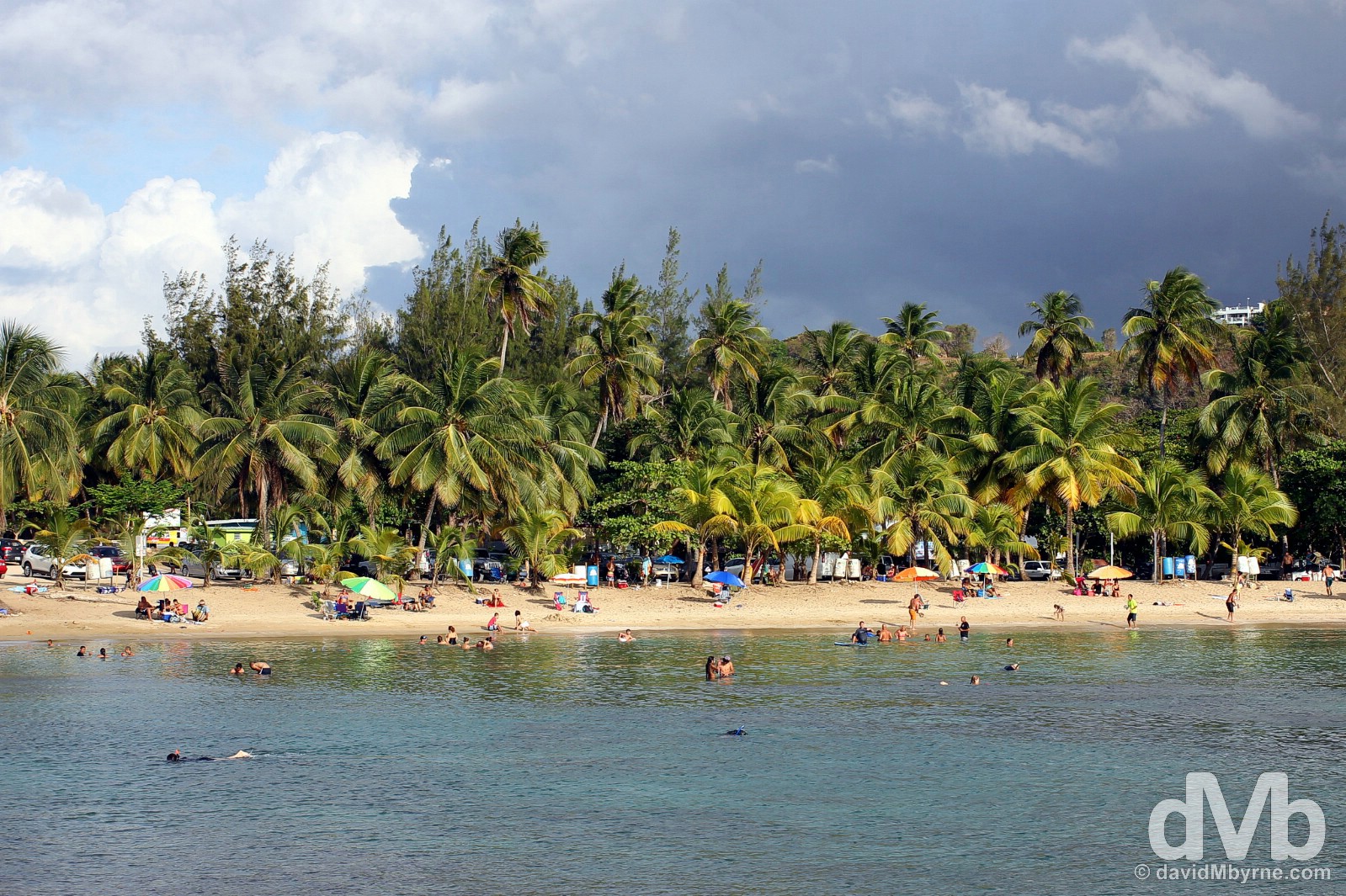 Playa Jobos, Isabela, Puerto Rico, Greater Antilles. June 3, 2015.