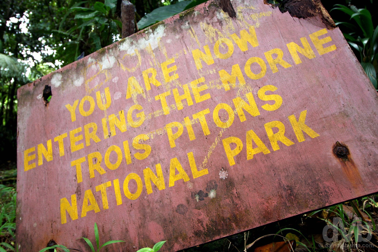 Morne Trois Pitons National Park, Dominica, Lesser Antilles. June 11, 2015.