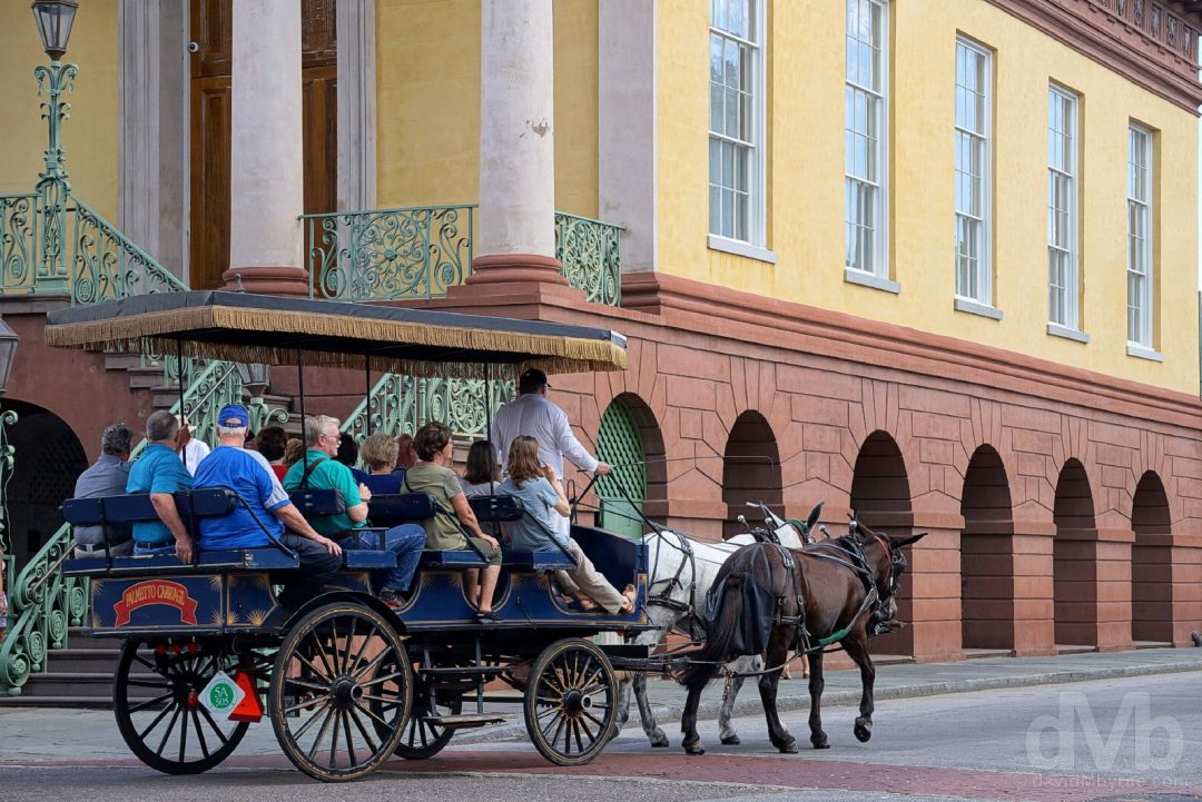 carriage ride charleston south carolina Worldwide Destination