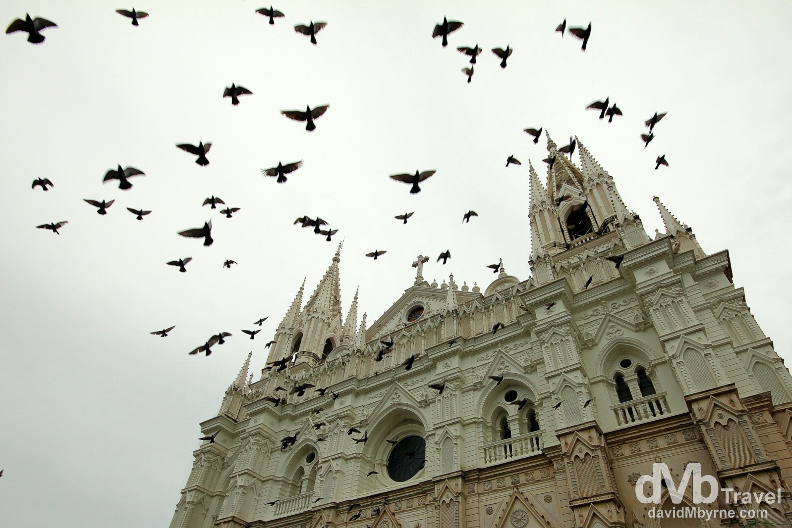 Pigeons flying in in front of Santa Ana's neo-Gothic Cathedral, Santa Ana, Western El Salvador. May 27th 2013.