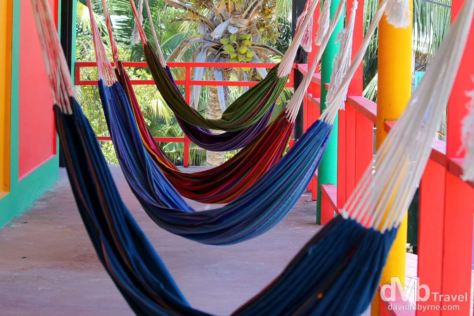 Plenty of options to laze around. Hammocks in Dirty McNastys Hostel, home for 3 night on Caye Caulker, Belize. May 14th 2013. 