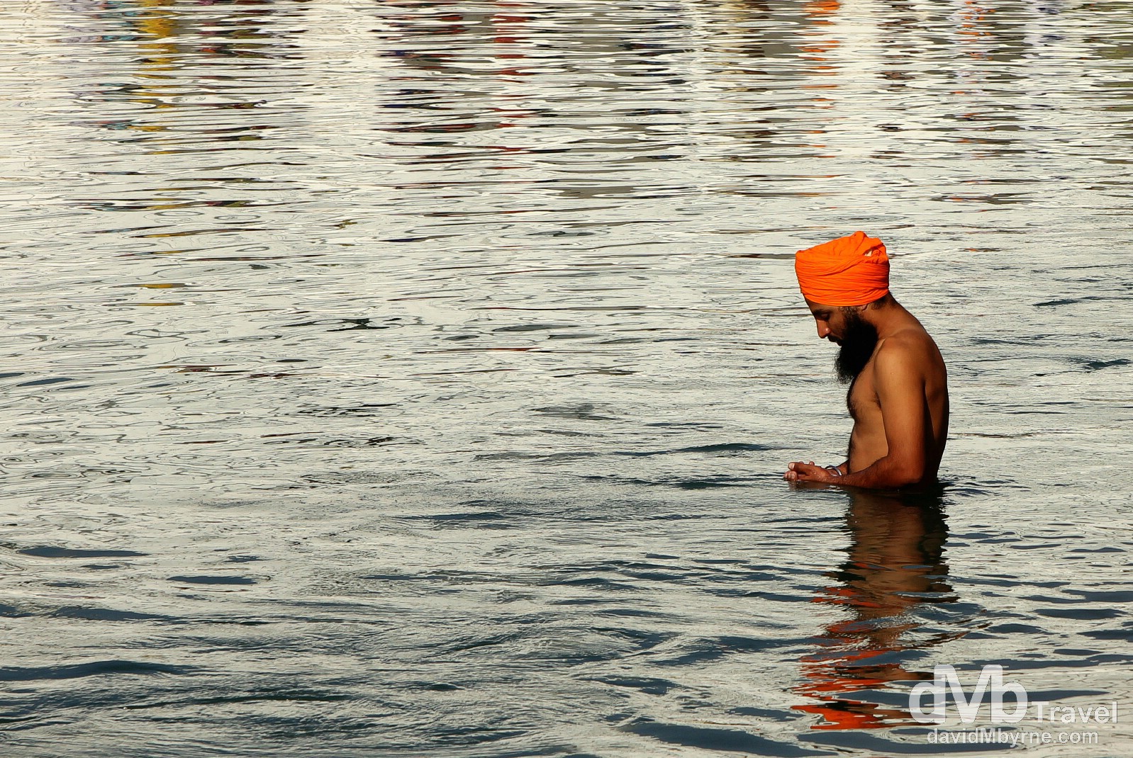 A Sikh devotee in the Amrit Sarovar (Pool of Nectar) in the Golden Temple complex, Amritsar, Punjab, India. October 9th 2012.