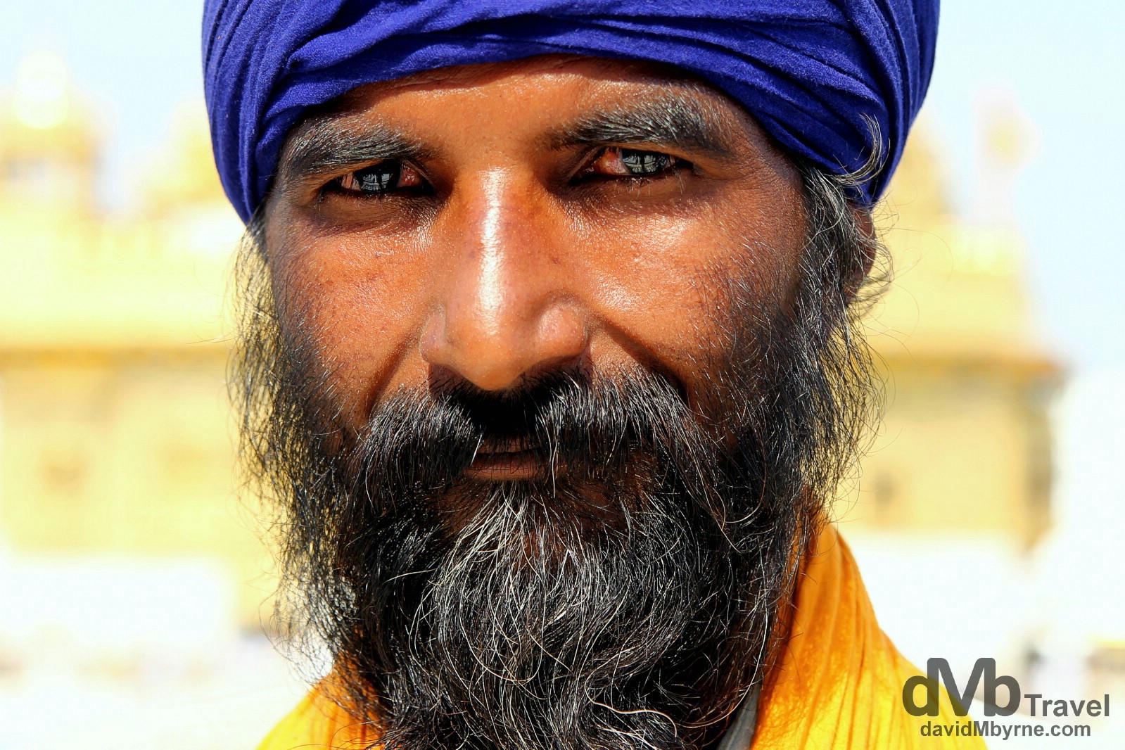 A Sikh devotee in the grounds of the Golden Temple, Amritsar, India. October 9th 2012. 