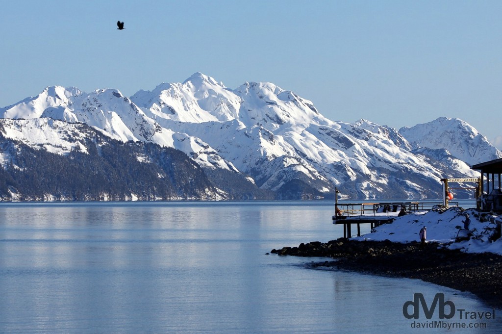 resurrection bay cruise alaska