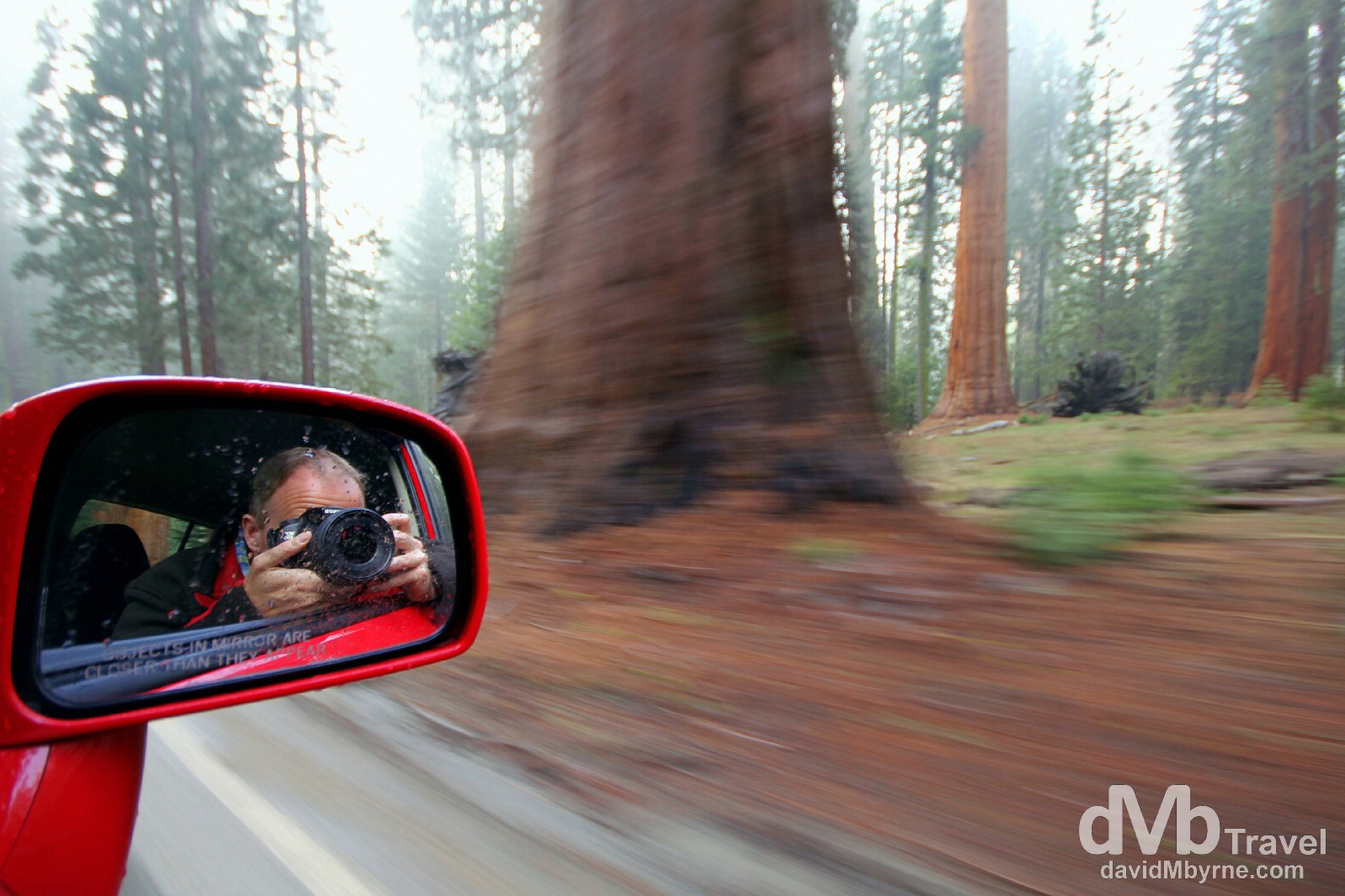 Selfie. Sequoia National Park, California, USA. April 2nd 2013.