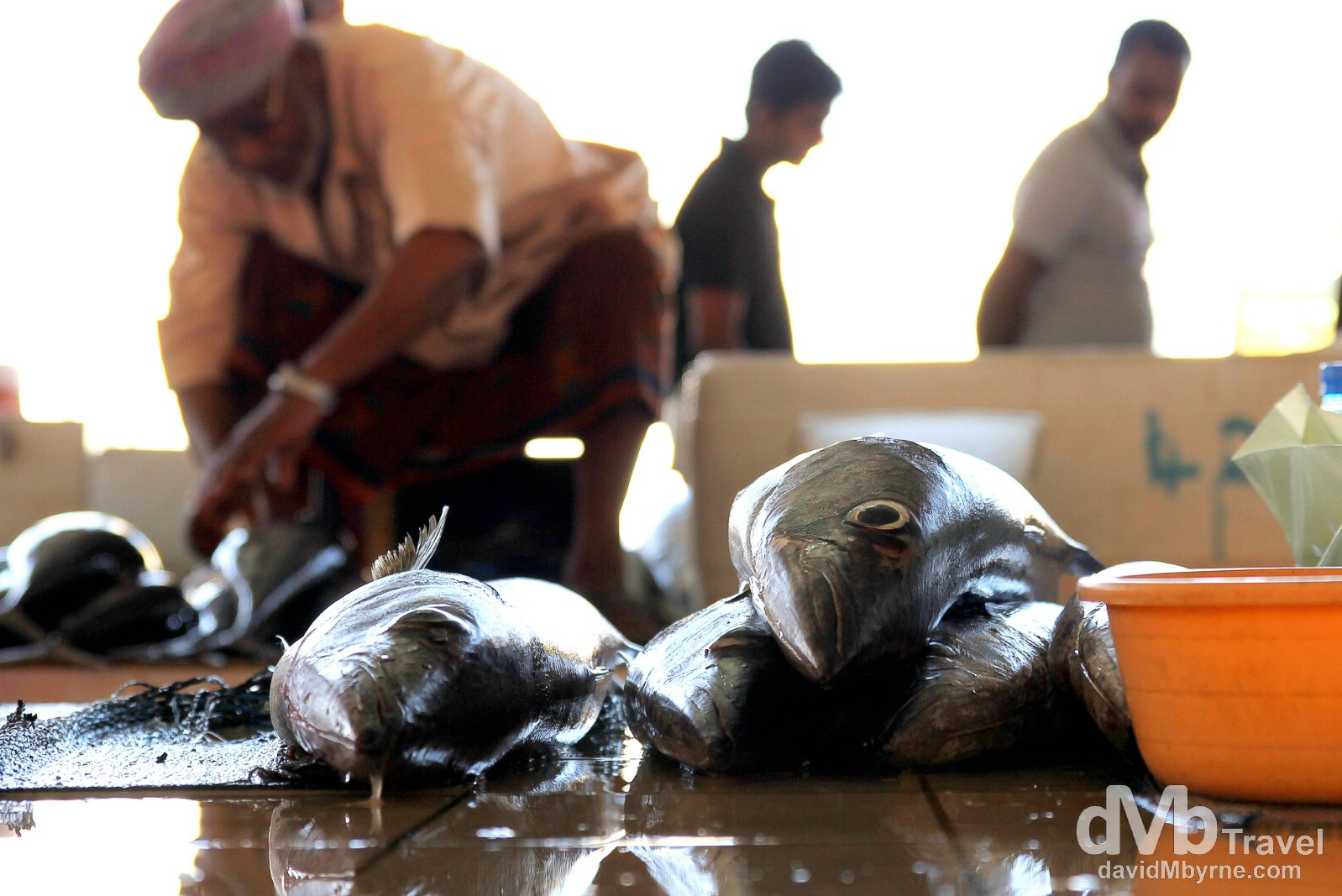 Fish Market, Mutrah, Muscat, Oman. April 26th, 2014.
