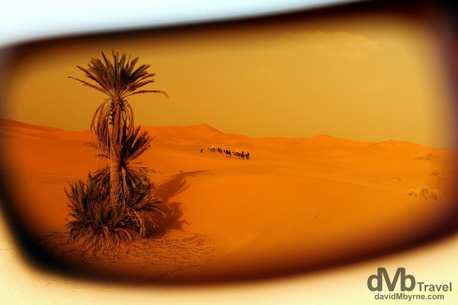 As seen through sunglasses, a camel train on the Erg Chebbi sand dunes near the village of Merzouga, Morocco. May 19th, 2014. 