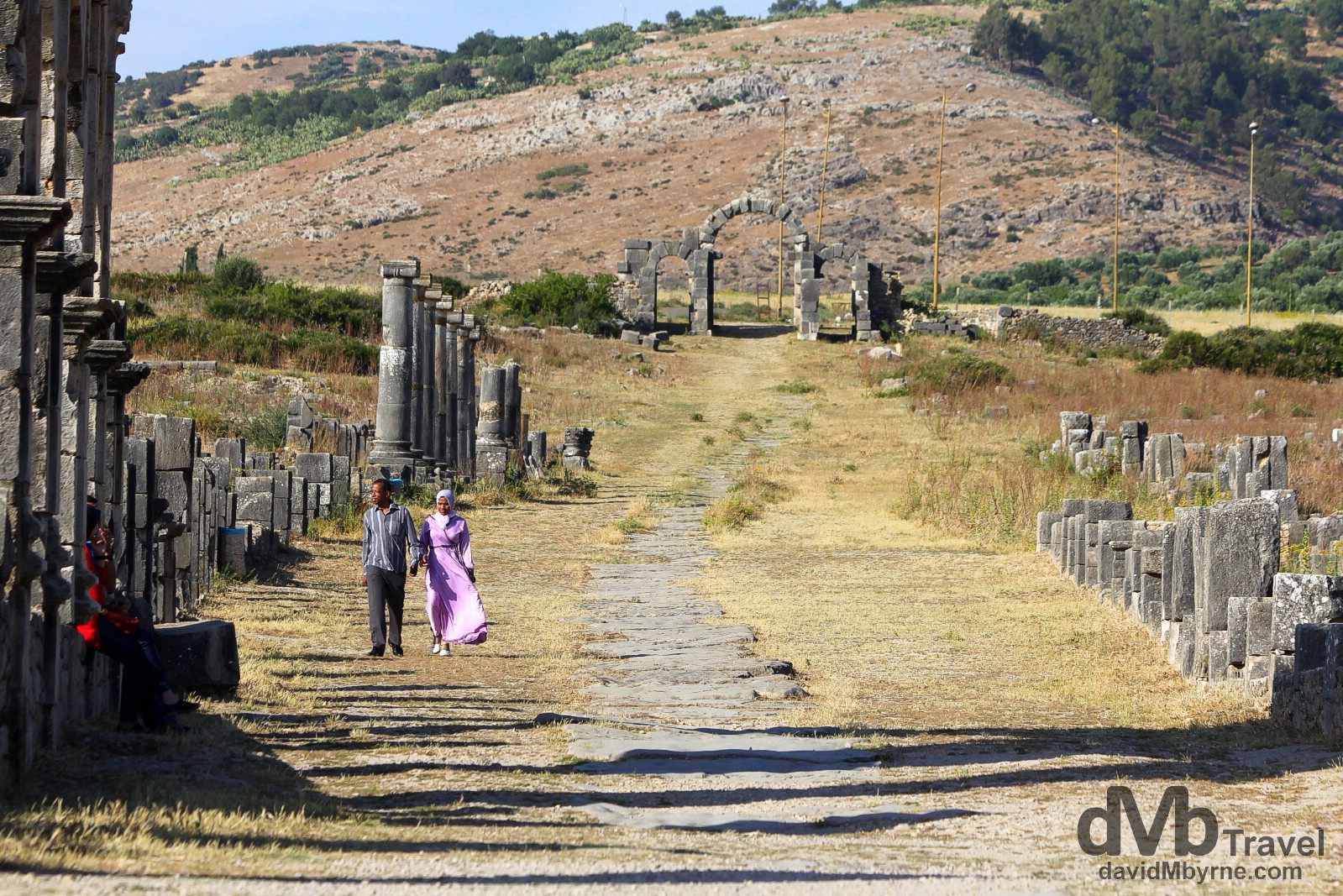 Decumanus Maximus, the main street of the UNESCO-listed Roman site of Volubilis in Morocco. May 25th, 2014 
