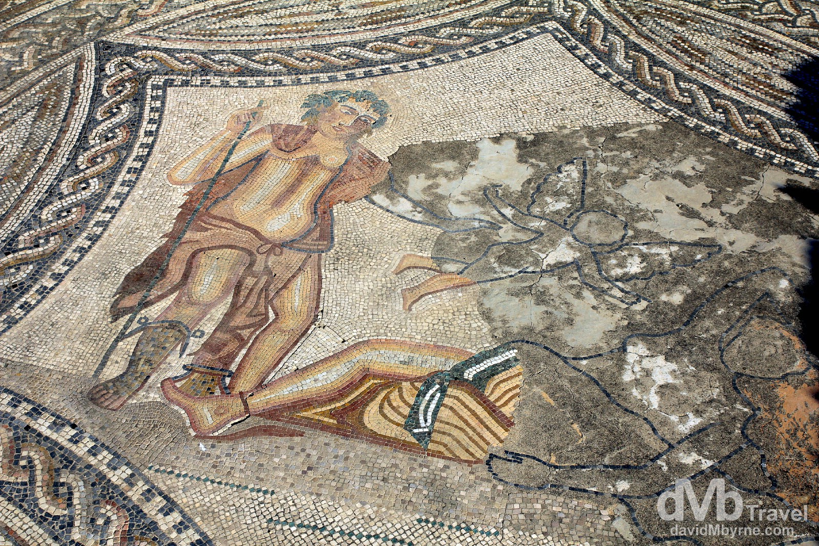 The mosaic Dionysos Discovering Ariadne in the Knight’s House at the UNESCO-listed Roman site of Volubilis, northern Morocco. May 25th, 2014.