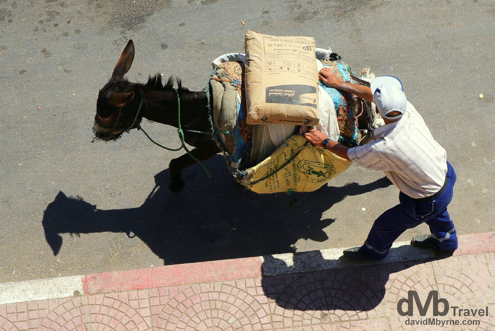 A beast of burden being helped along on the streets of Moulay Idriss, northern Morocco. May 25th, 2014.