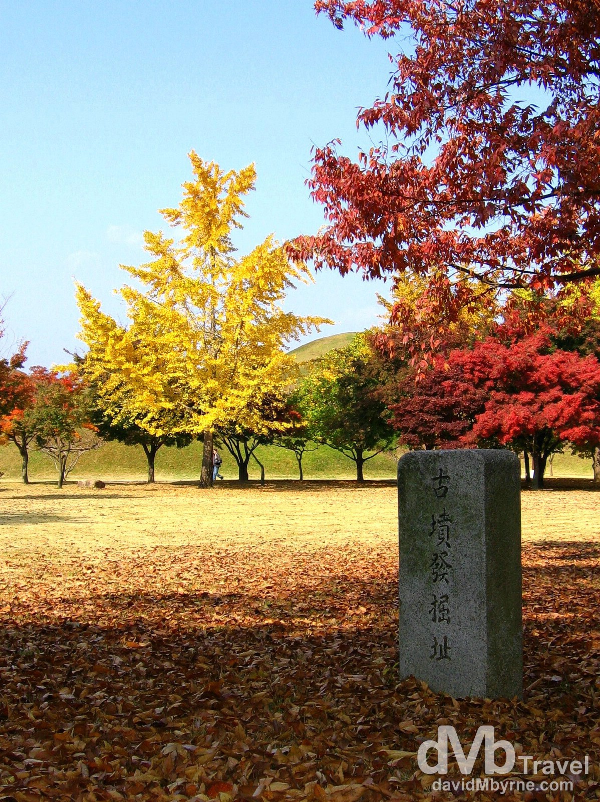 Autumnal scenes in Daereungwon Tomb Park, Gyeongju, South Korea. November 10th, 2007.
