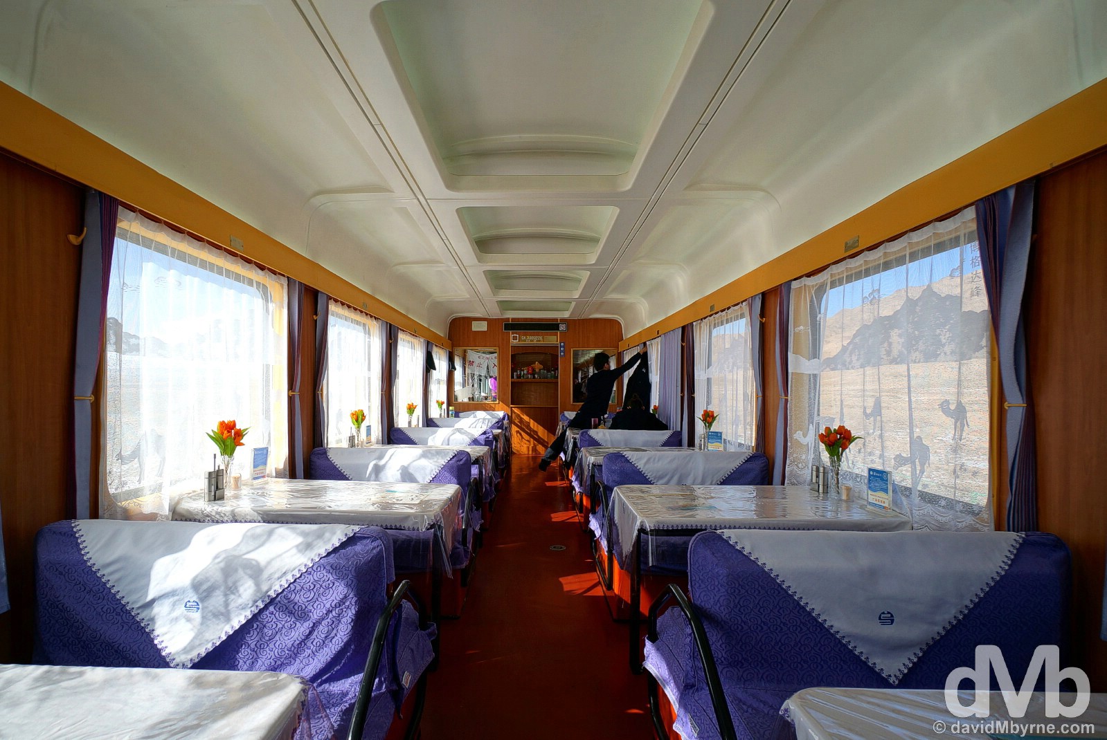 The dining car of the daily T177 Beijing to Urumqi train in China. February 9, 2015. 