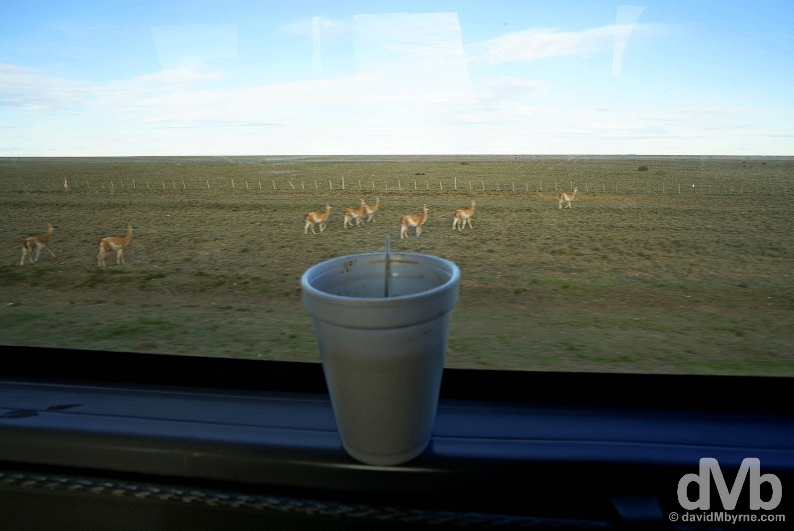 Morning Coffee & steppe views heading south on Ruta 3 in Patagonia, Argentina. November 1, 2015.