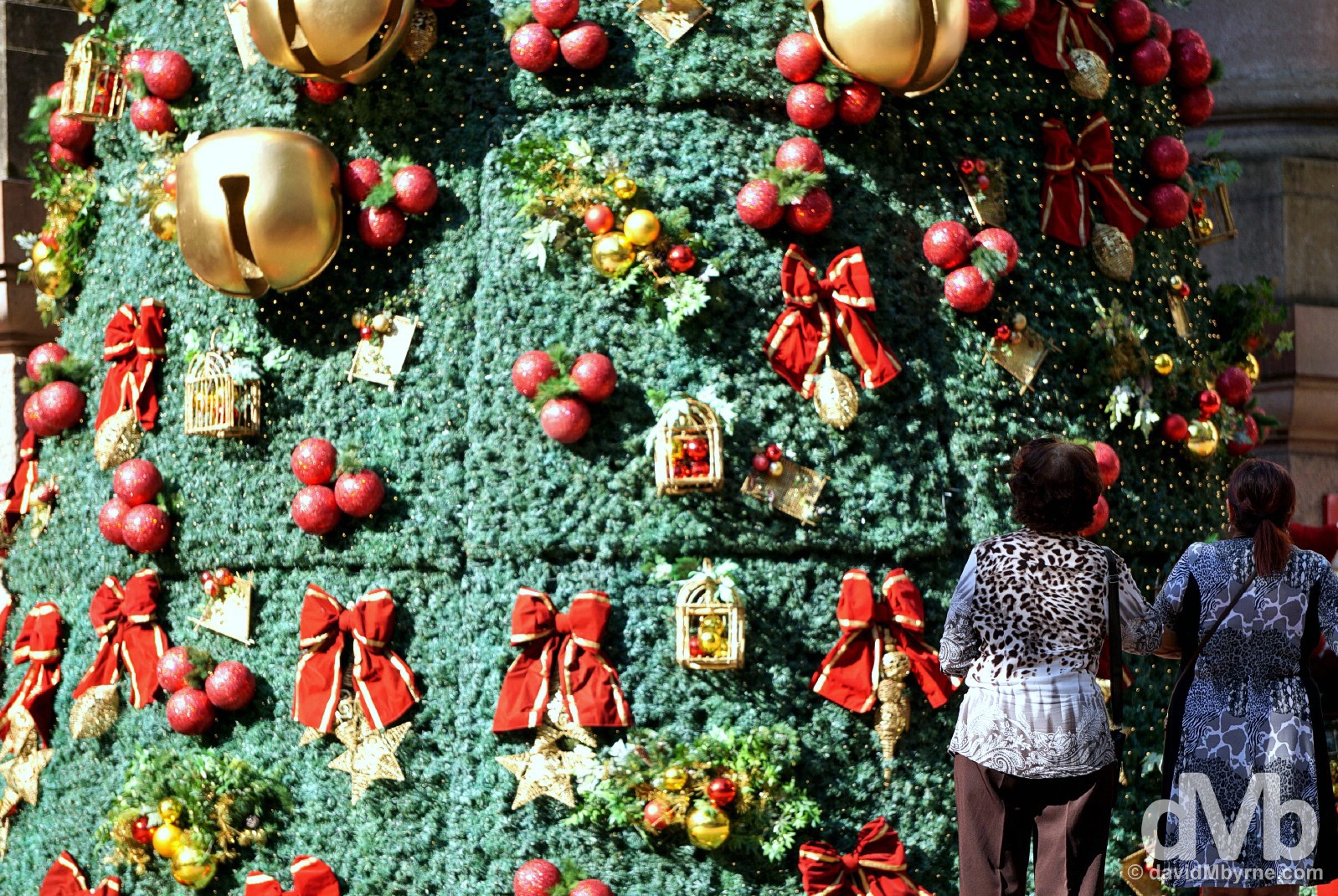 Admiring the massive Christmas tree in Alfandega Square in central Porto Alegre, Brazil. December 8, 2015.