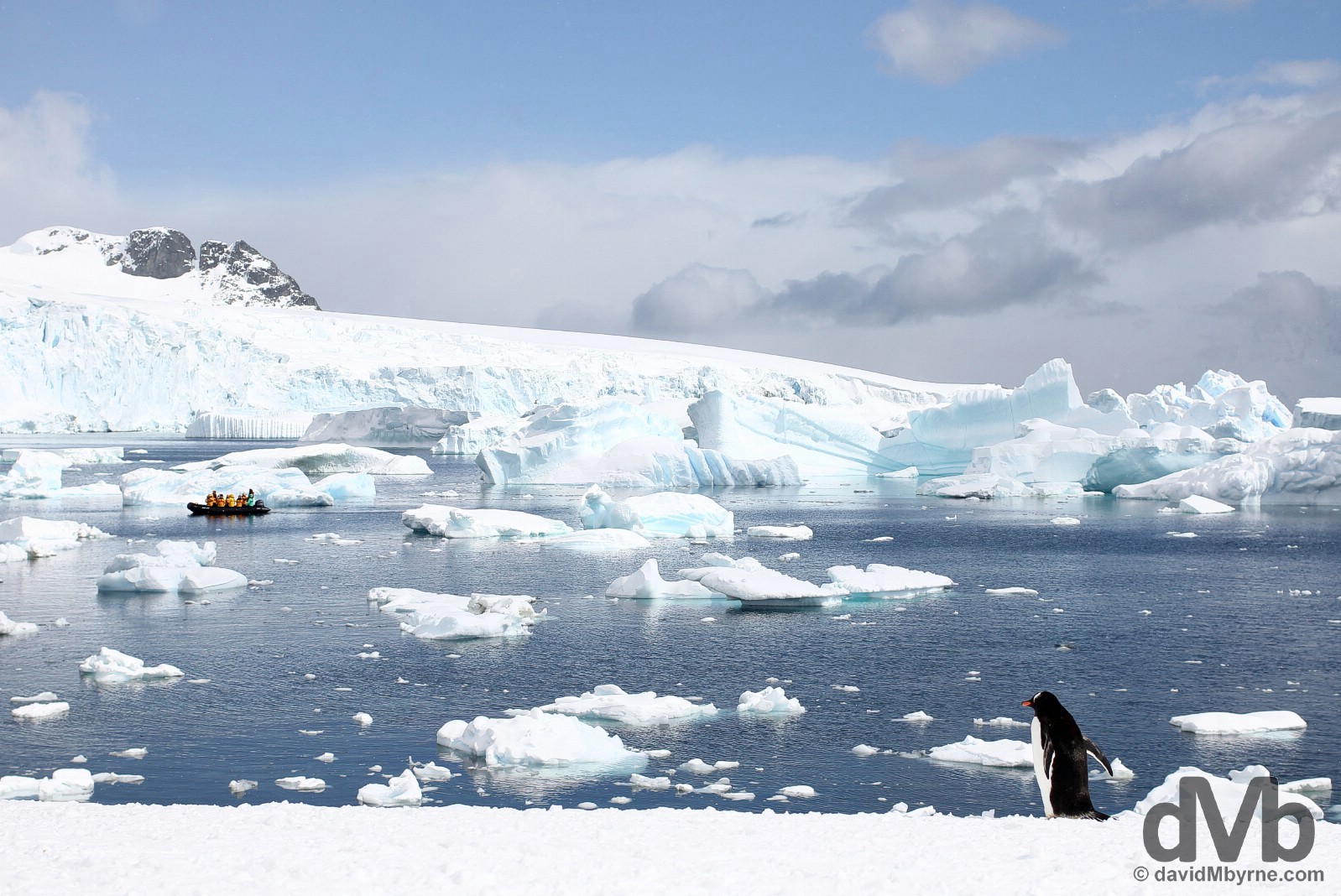 Cuverville Island, Antarctic Peninsula. December 1, 2015.